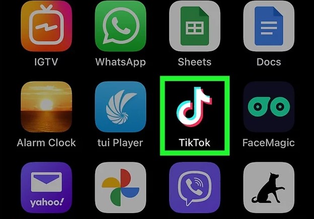 Open TikTok App