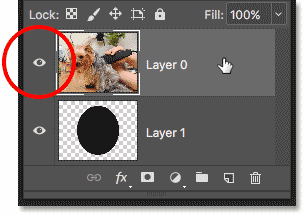 Create a Layer Underneath the Image