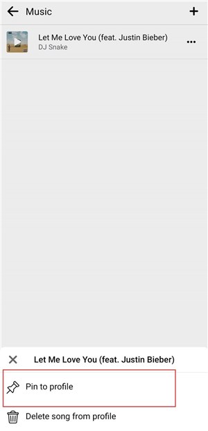 Pin The Song to Profile
