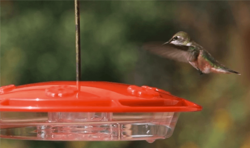 What Is Pixel Motion Blur