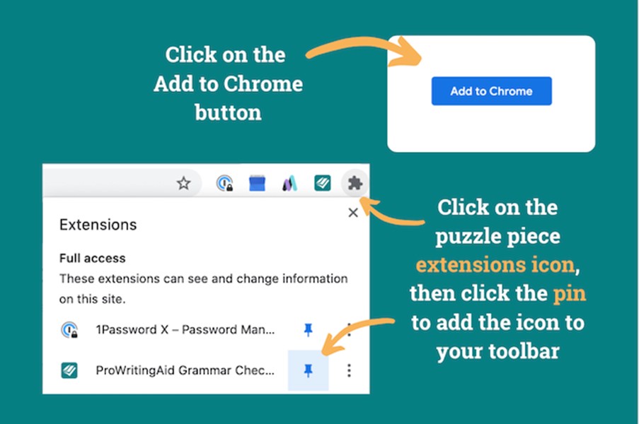ProWritingAid Extension Interface