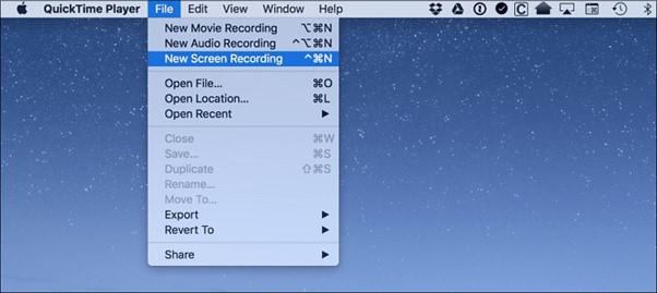 Quicktime Player Interface