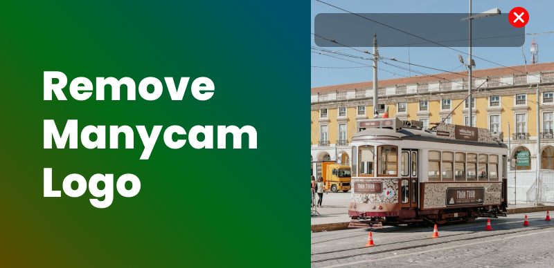 How to Remove ManyCam Logo