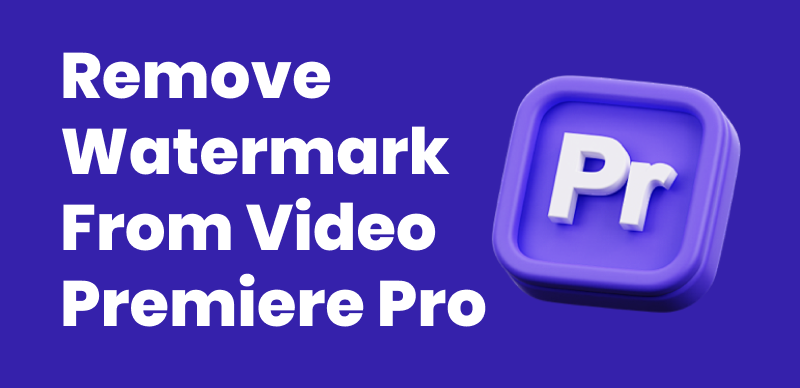 Remove Watermark from Video Premiere Pro