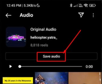 Locate the Save Audio Button