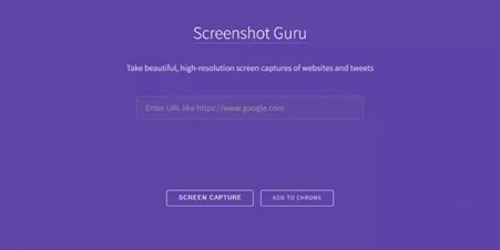 Screenshot Guru Interface