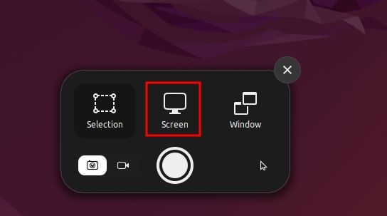 Select Screenshot Type
