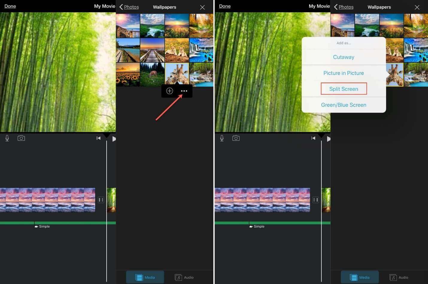 Split Screen in iPhone