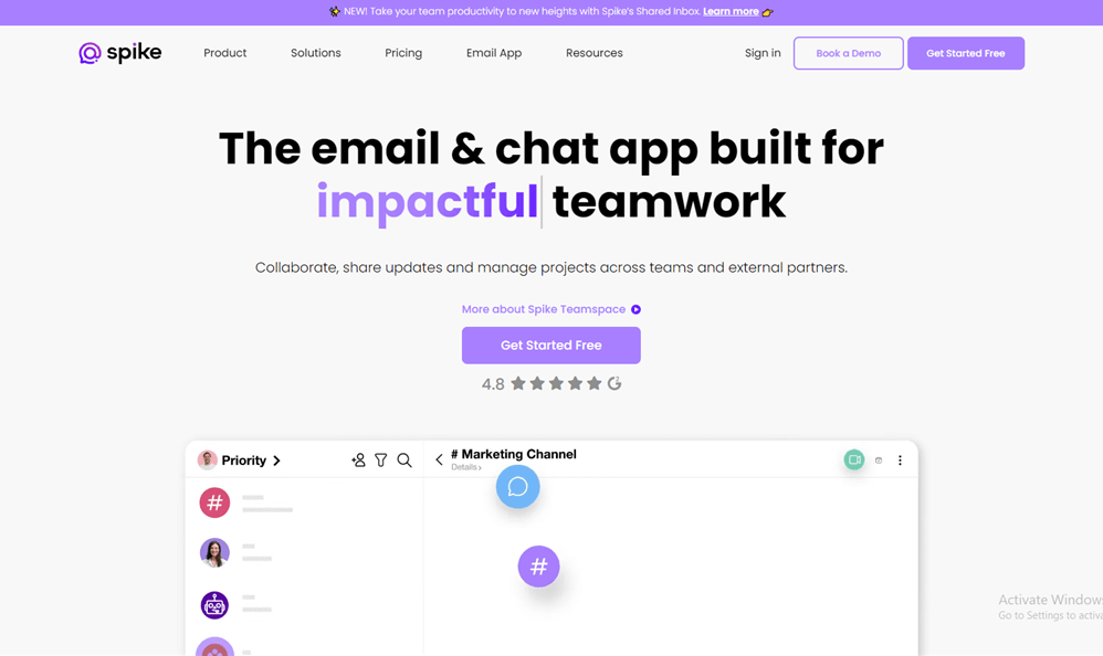 Spike Interface
