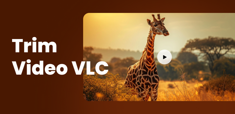 Trim Videos in VLC Media Player