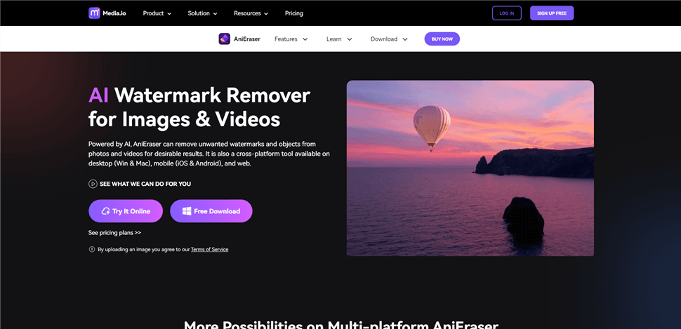 Emoji Remover from Video - AniEraser