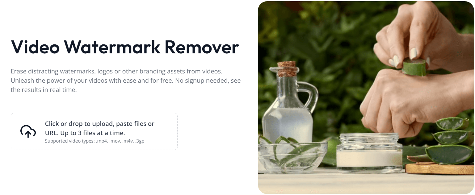 Vmake Video Watermark Remover Interface 