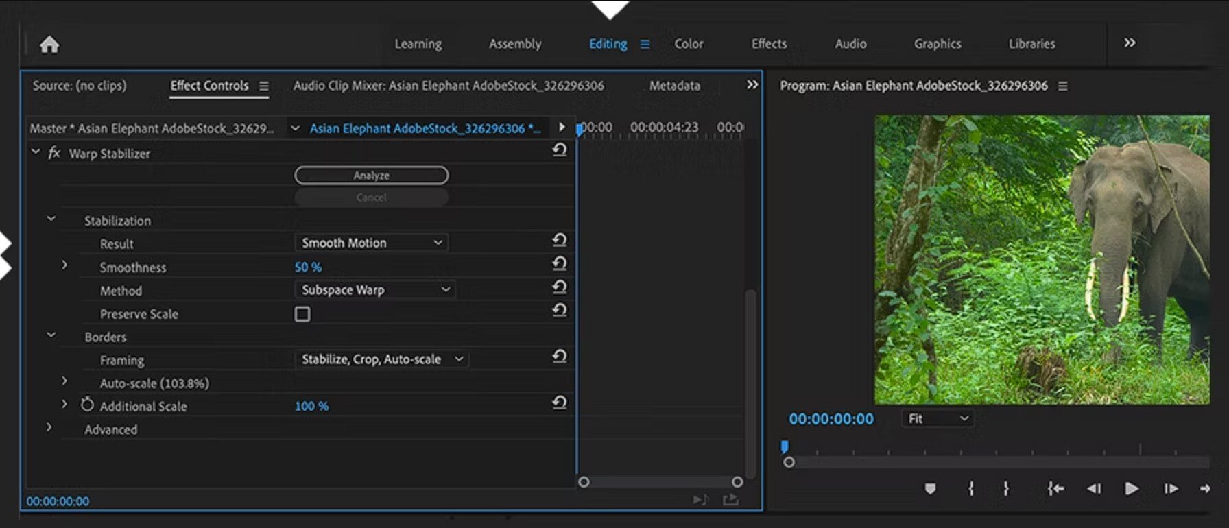 Adjust the Stabilization Settings