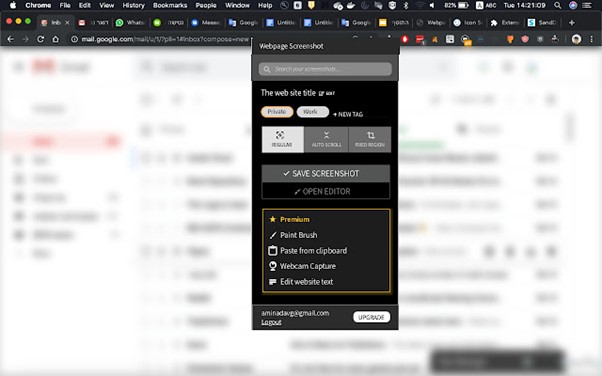 Webpage Screenshot Interface