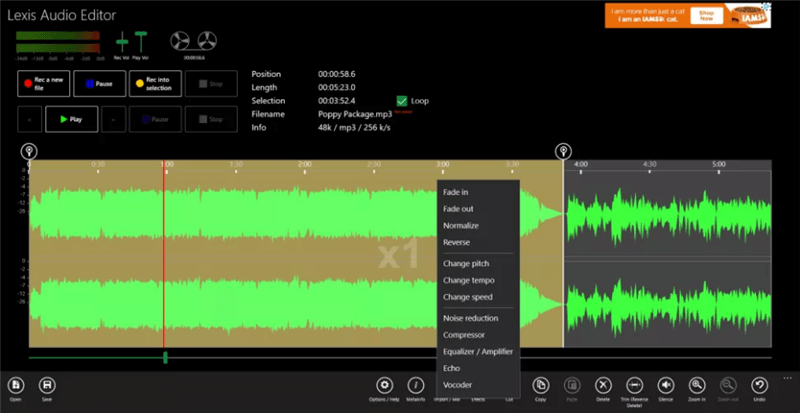 Windows Voice Recorder - Lexis Audio Editor