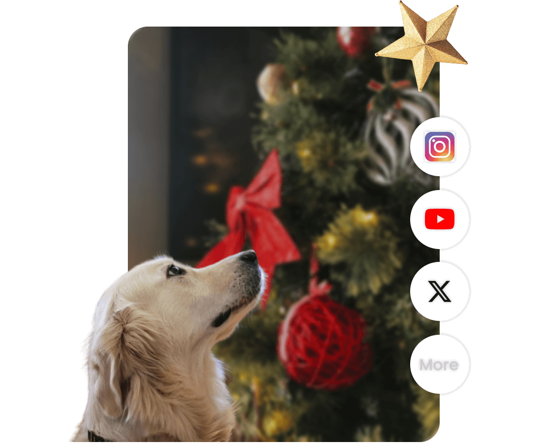 Christmas Gif Maker - Online - Free